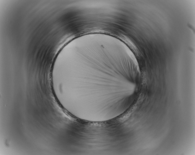 X0000095550806200801111452