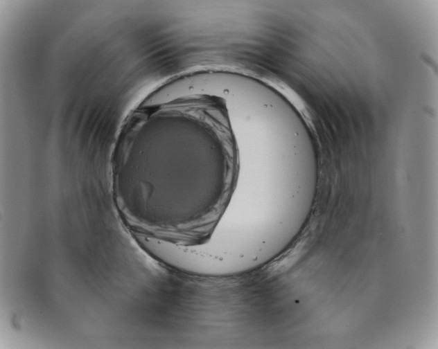 X0000095550807200801111452