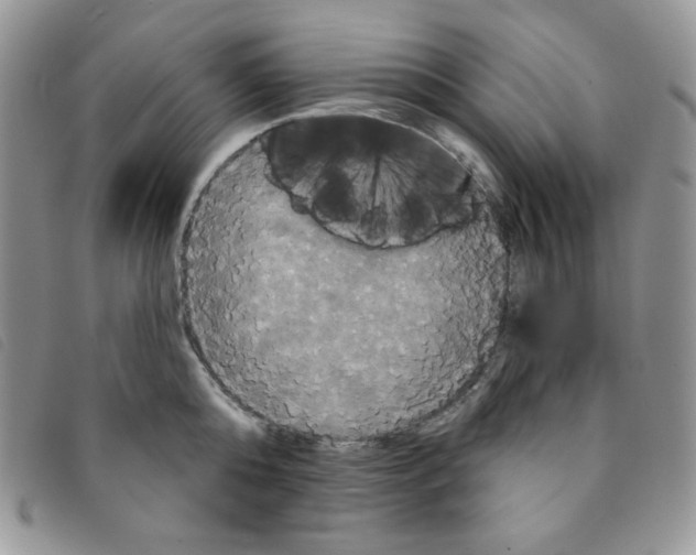 X0000095550808200801111452