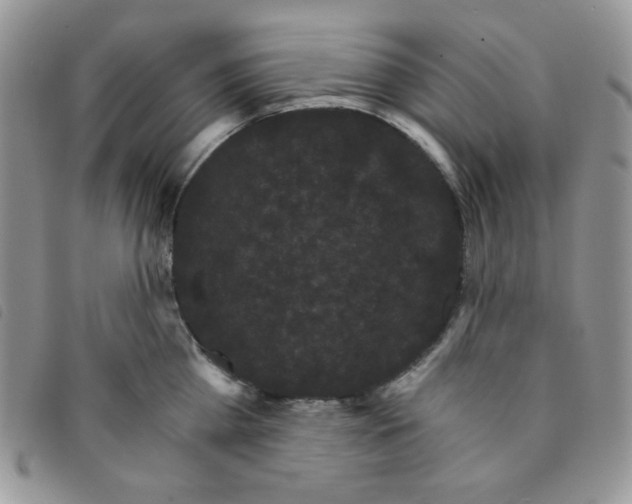 X0000095550809200801111452