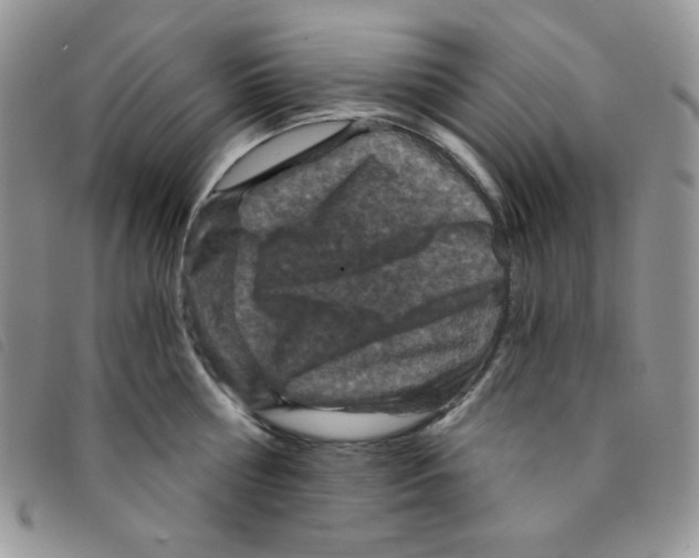 X0000095550810200801111452