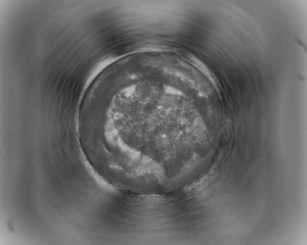 X0000095550811200801111452