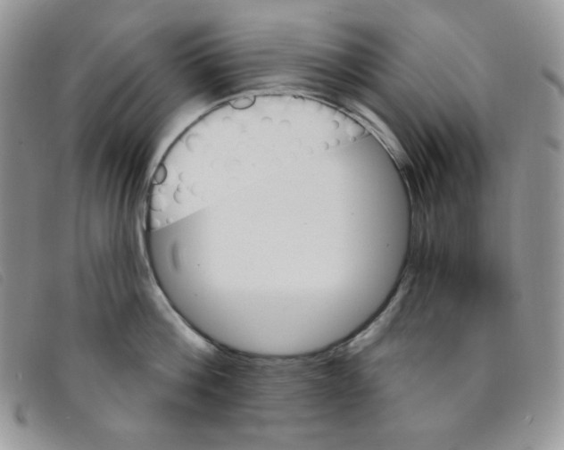 X0000095550812200801111452