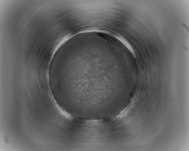 X0000095550813200801111452