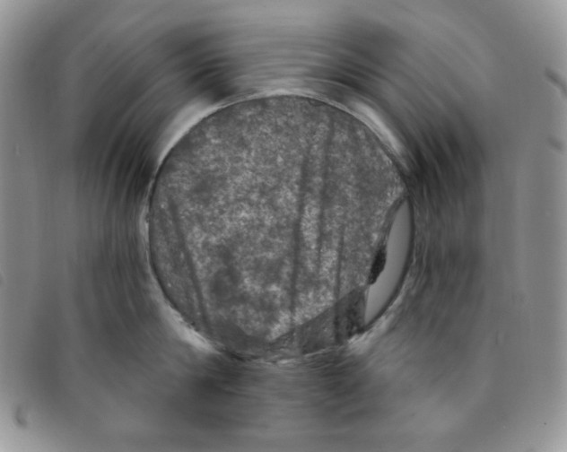 X0000095550814200801111452