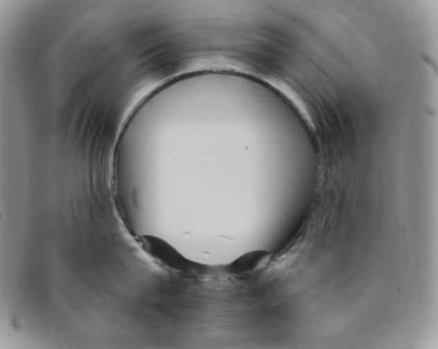 X0000095550815200801111452