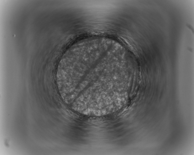 X0000095550817200801111451