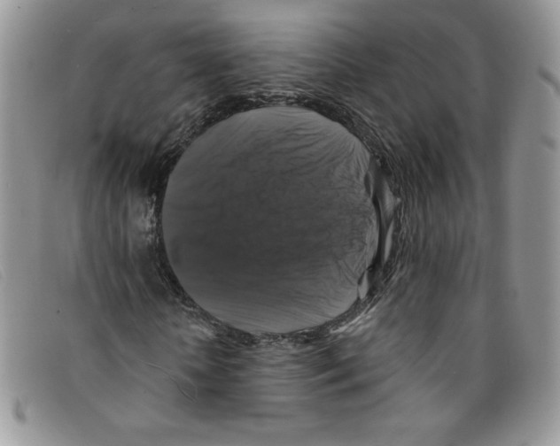 X0000095550818200801111451