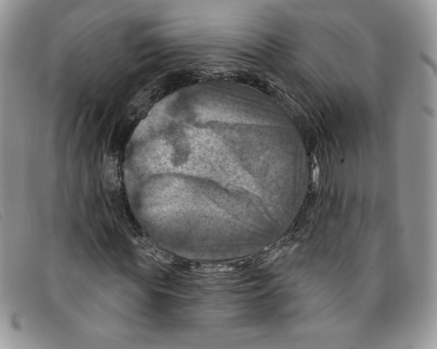 X0000095550819200801111452