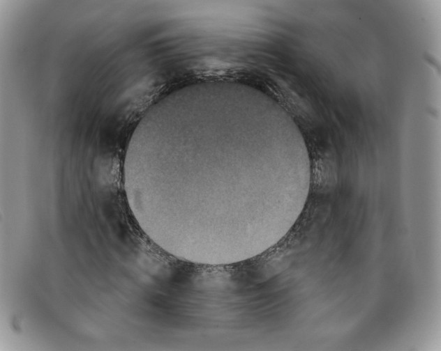 X0000095550820200801111452