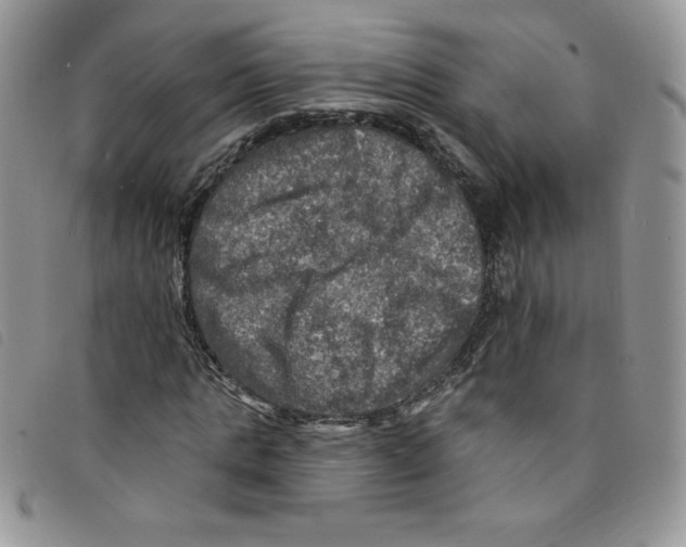 X0000095550821200801111452