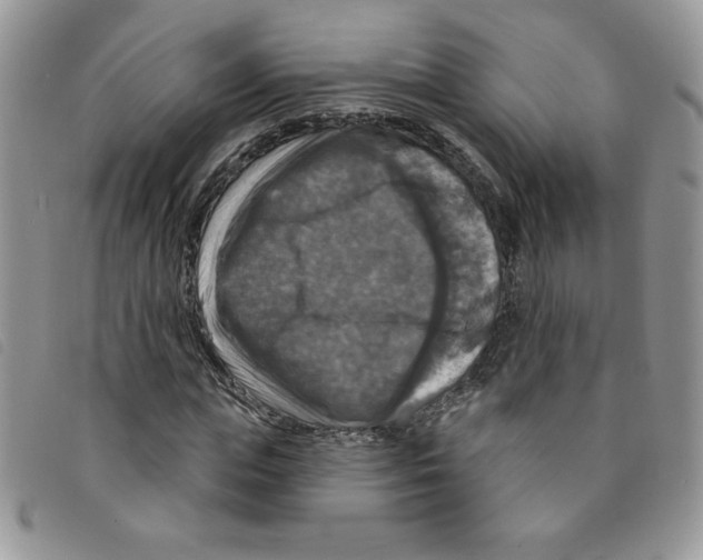 X0000095550823200801111452