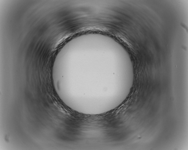 X0000095550824200801111452