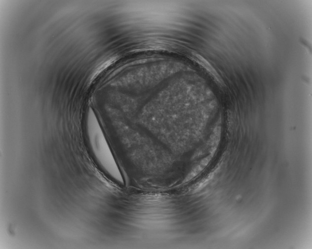 X0000095550826200801111452