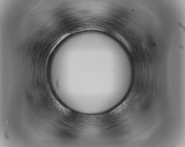 X0000095550828200801111452