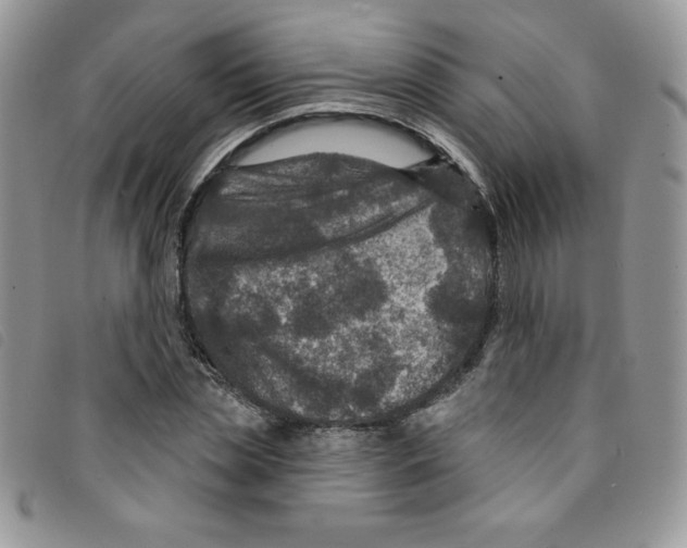 X0000095550829200801111452