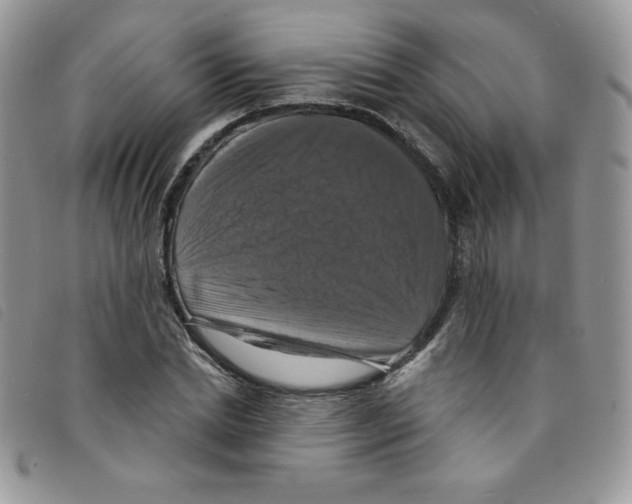 X0000095550830200801111452