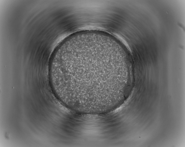 X0000095550831200801111452