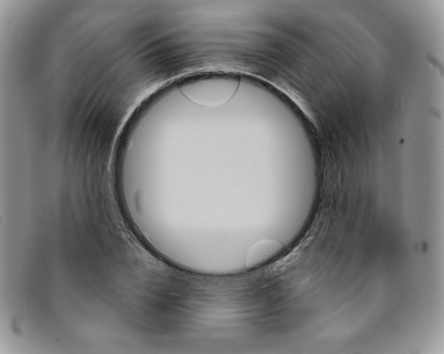 X0000095550832200801111452