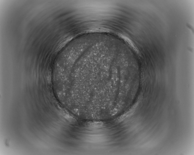 X0000095550833200801111452