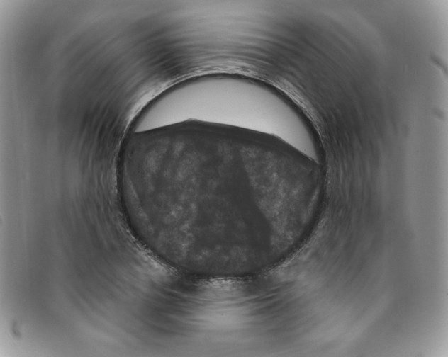 X0000095550834200801111452