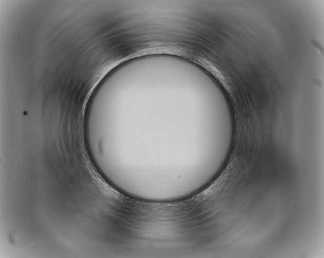 X0000095550836200801111452