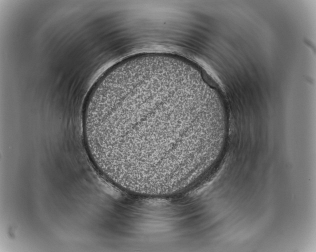 X0000095550837200801111452