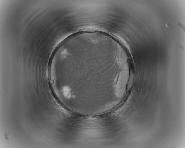 X0000095550839200801111452