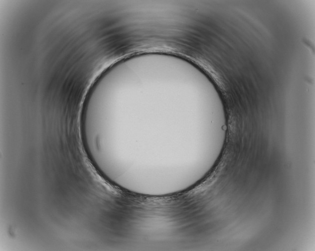 X0000095550840200801111452