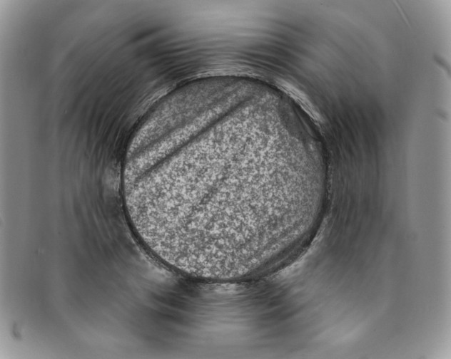 X0000095550841200801111452