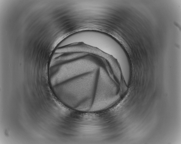 X0000095550842200801111452