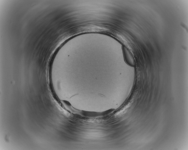 X0000095550843200801111452