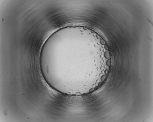 X0000095550844200801111452