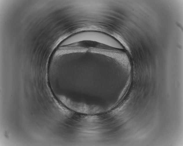 X0000095550845200801111452