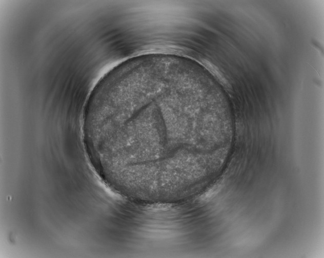 X0000095550846200801111452