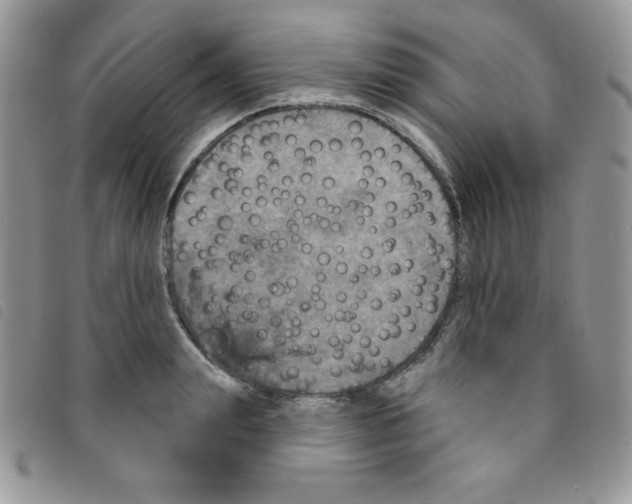 X0000095550847200801111452