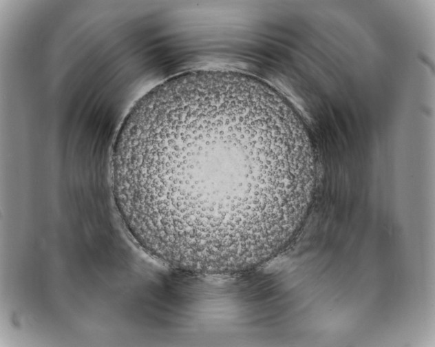 X0000095550848200801111452