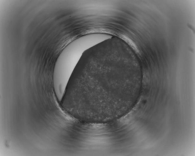 X0000095550849200801111452