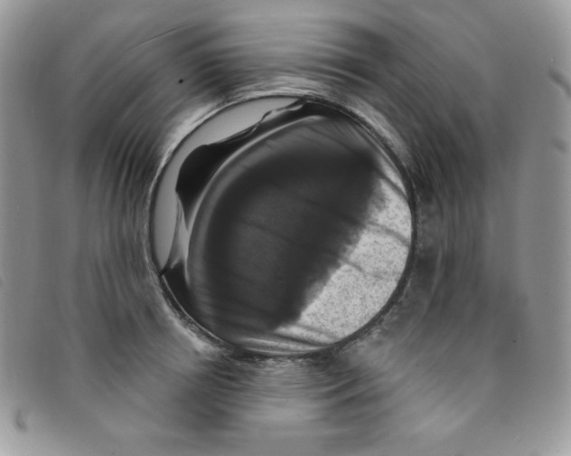 X0000095550850200801111452