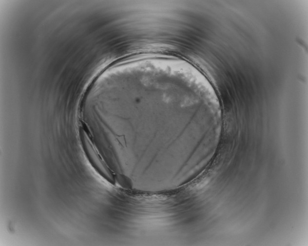 X0000095550851200801111452