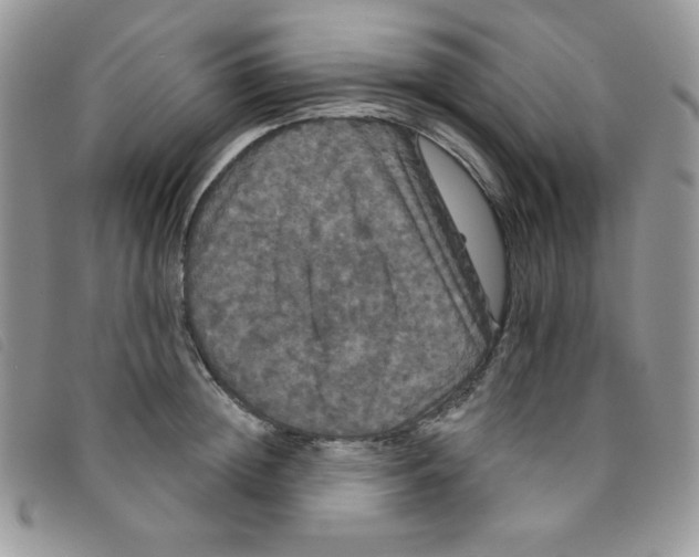 X0000095550852200801111452