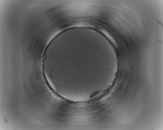 X0000095550853200801111452