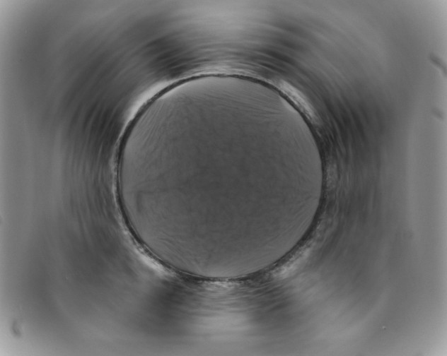 X0000095550854200801111452