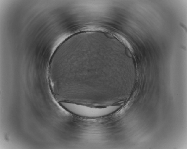 X0000095550855200801111452