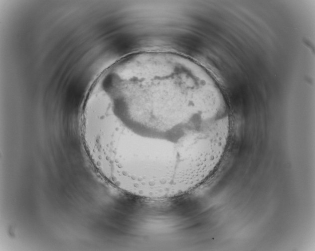 X0000095550856200801111452