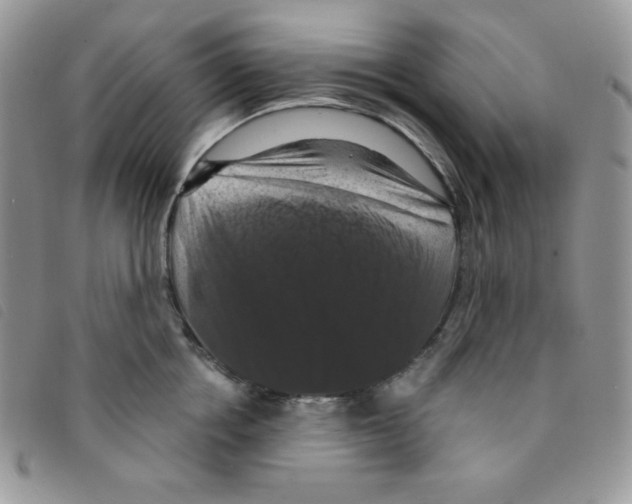 X0000095550858200801111452