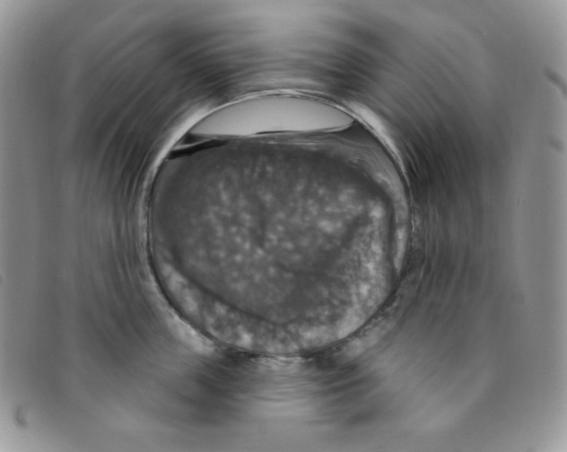 X0000095550859200801111452