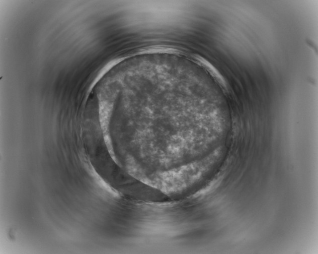 X0000095550860200801111452