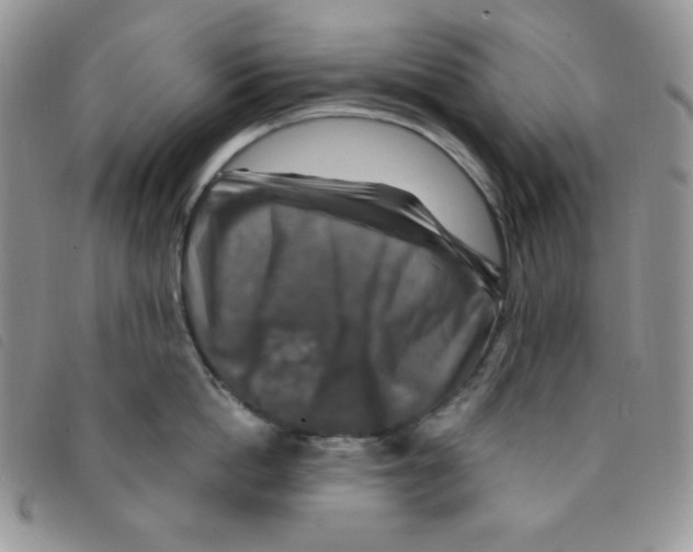 X0000095550862200801111452