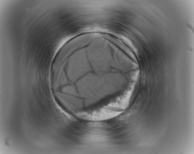 X0000095550863200801111452